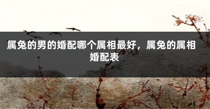 属兔的男的婚配哪个属相最好，属兔的属相婚配表