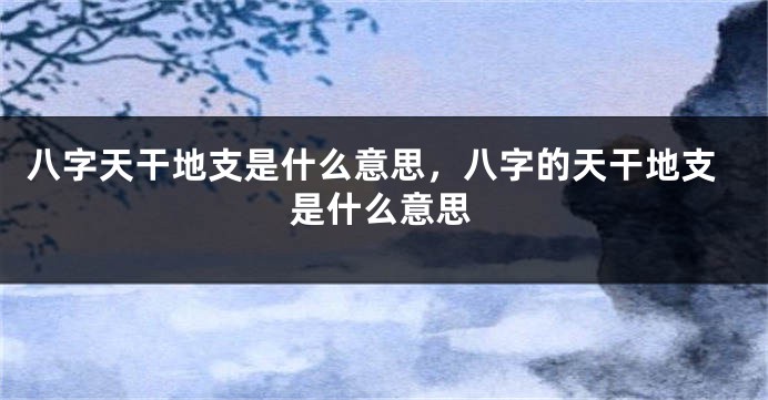 八字天干地支是什么意思，八字的天干地支是什么意思