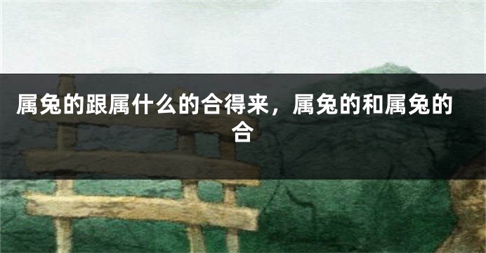 属兔的跟属什么的合得来，属兔的和属兔的合
