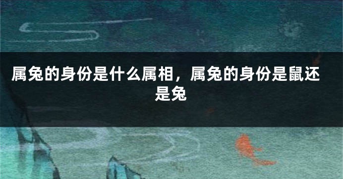 属兔的身份是什么属相，属兔的身份是鼠还是兔