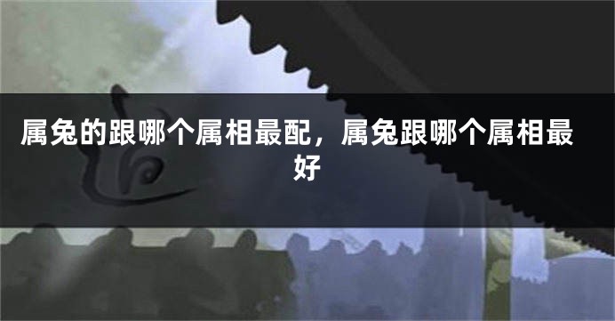 属兔的跟哪个属相最配，属兔跟哪个属相最好
