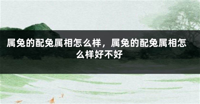 属兔的配兔属相怎么样，属兔的配兔属相怎么样好不好