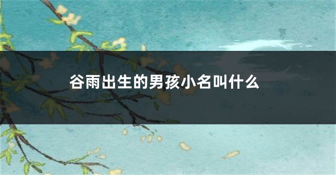 谷雨出生的男孩小名叫什么