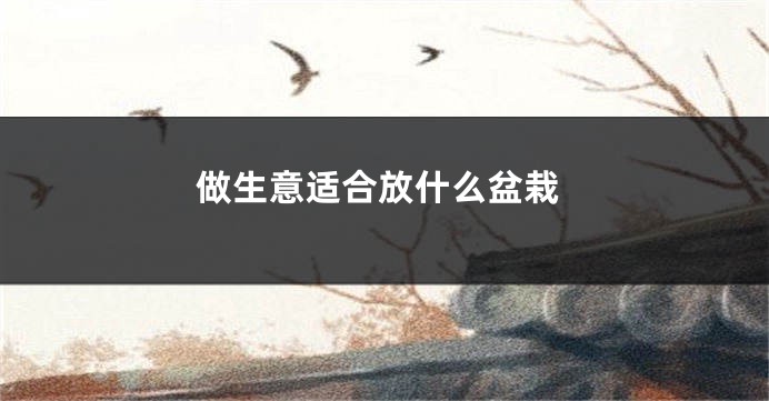 做生意适合放什么盆栽