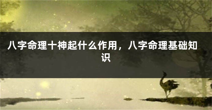 八字命理十神起什么作用，八字命理基础知识