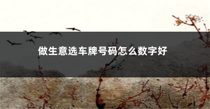 做生意选车牌号码怎么数字好