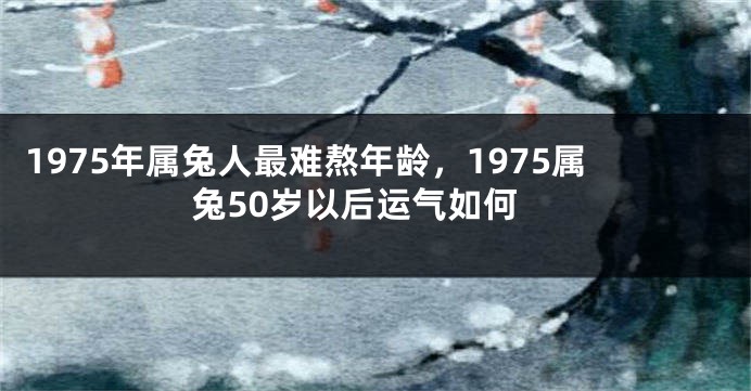 1975年属兔人最难熬年龄，1975属兔50岁以后运气如何
