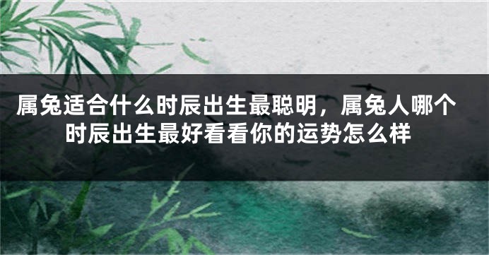 属兔适合什么时辰出生最聪明，属兔人哪个时辰出生最好看看你的运势怎么样