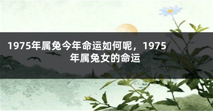 1975年属兔今年命运如何呢，1975年属兔女的命运