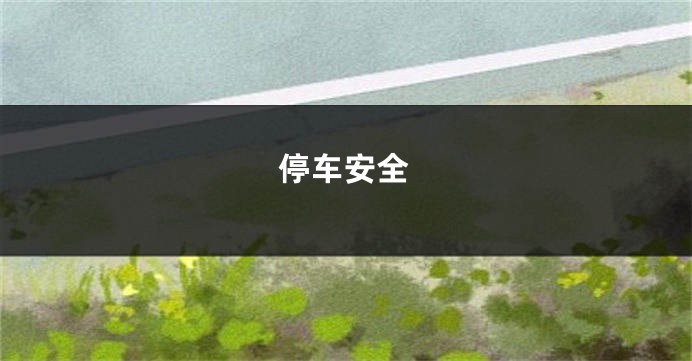 停车安全