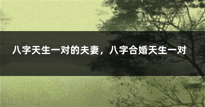 八字天生一对的夫妻，八字合婚天生一对