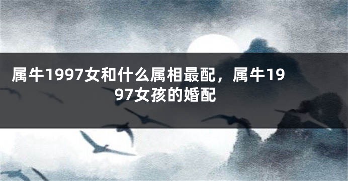 属牛1997女和什么属相最配，属牛1997女孩的婚配
