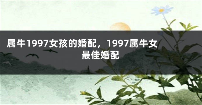 属牛1997女孩的婚配，1997属牛女最佳婚配