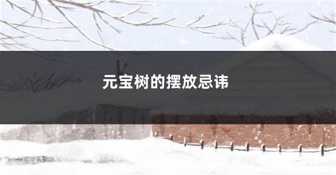 元宝树的摆放忌讳