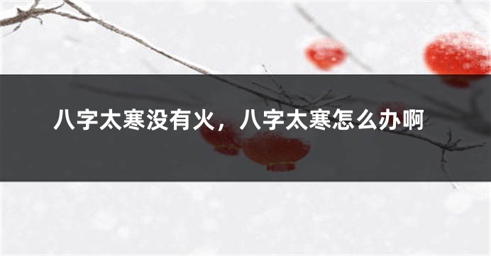八字太寒没有火，八字太寒怎么办啊