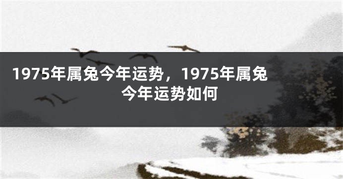 1975年属兔今年运势，1975年属兔今年运势如何