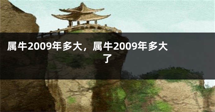 属牛2009年多大，属牛2009年多大了