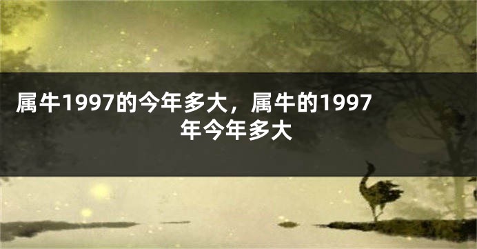 属牛1997的今年多大，属牛的1997年今年多大