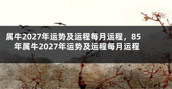 属牛2027年运势及运程每月运程，85年属牛2027年运势及运程每月运程