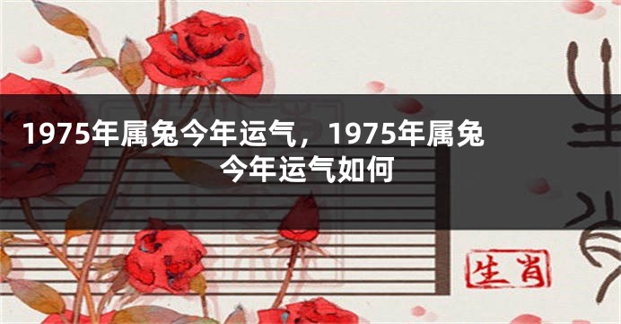 1975年属兔今年运气，1975年属兔今年运气如何