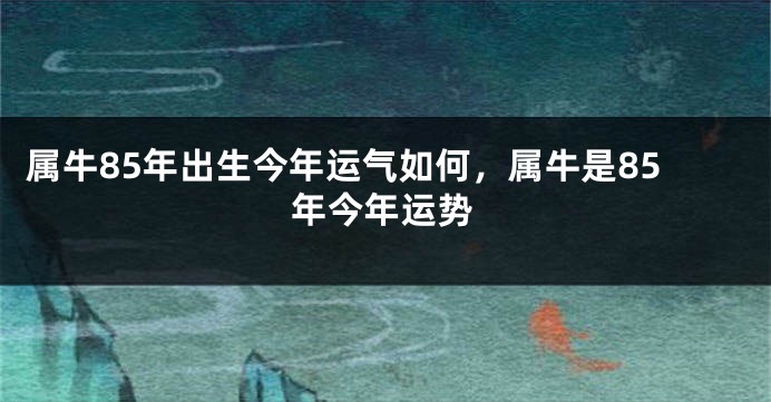 属牛85年出生今年运气如何，属牛是85年今年运势