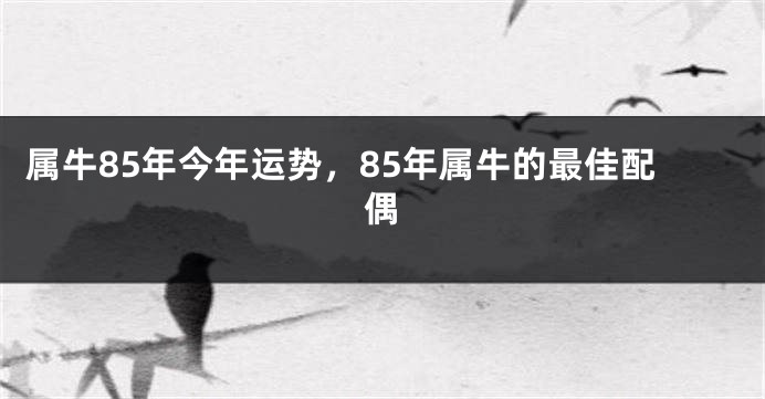属牛85年今年运势，85年属牛的最佳配偶