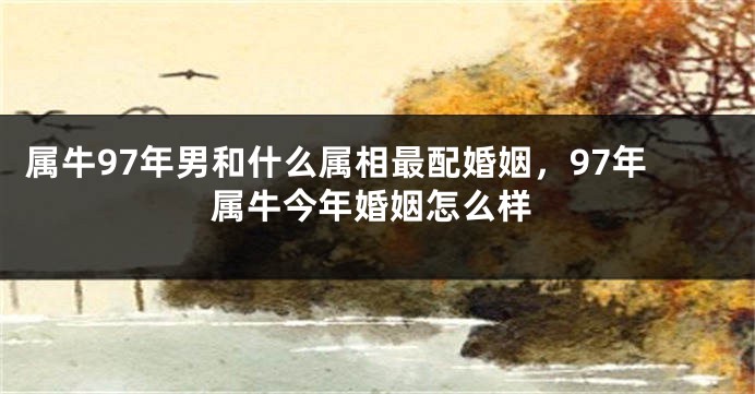 属牛97年男和什么属相最配婚姻，97年属牛今年婚姻怎么样
