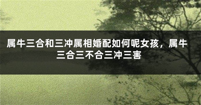 属牛三合和三冲属相婚配如何呢女孩，属牛三合三不合三冲三害