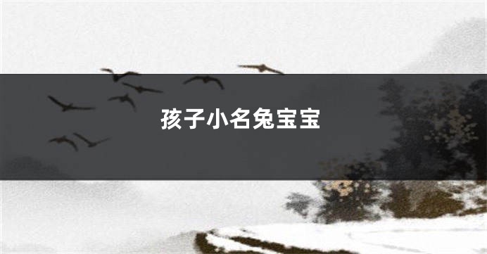 孩子小名兔宝宝