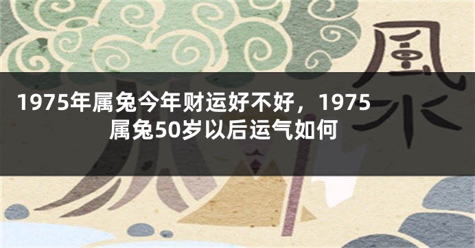 1975年属兔今年财运好不好，1975属兔50岁以后运气如何