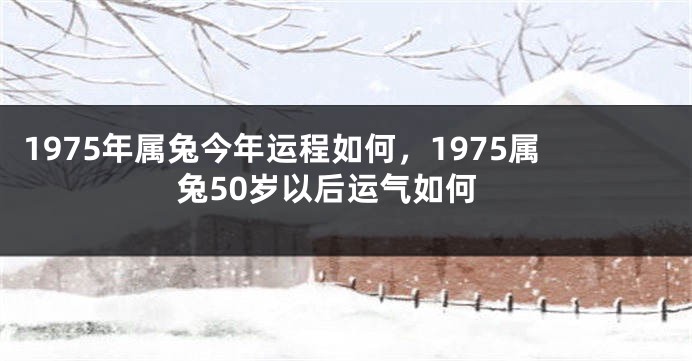 1975年属兔今年运程如何，1975属兔50岁以后运气如何