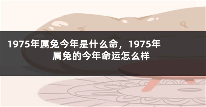 1975年属兔今年是什么命，1975年属兔的今年命运怎么样