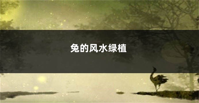 兔的风水绿植