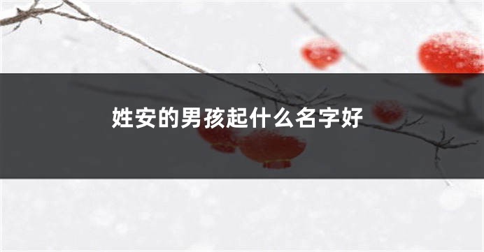 姓安的男孩起什么名字好