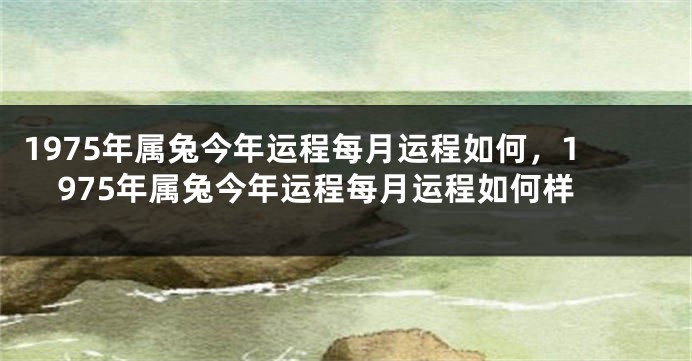 1975年属兔今年运程每月运程如何，1975年属兔今年运程每月运程如何样