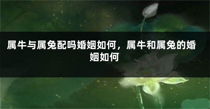 属牛与属兔配吗婚姻如何，属牛和属兔的婚姻如何