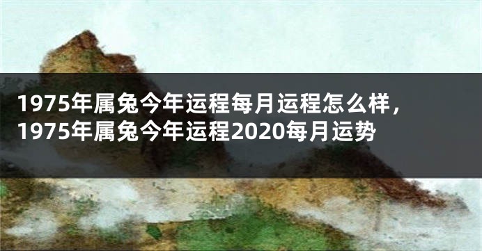 1975年属兔今年运程每月运程怎么样，1975年属兔今年运程2020每月运势