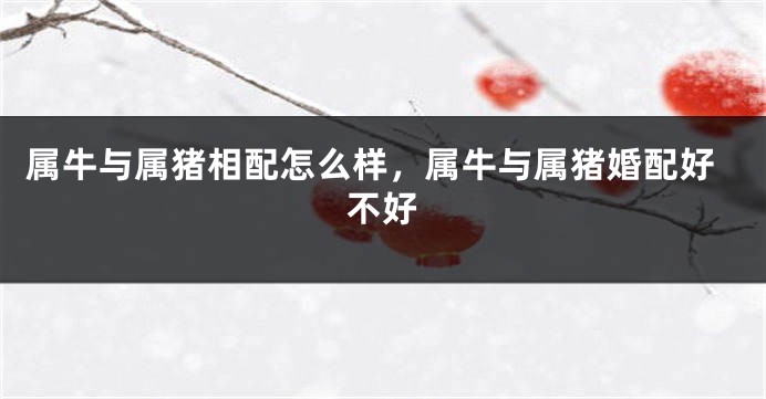 属牛与属猪相配怎么样，属牛与属猪婚配好不好