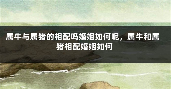 属牛与属猪的相配吗婚姻如何呢，属牛和属猪相配婚姻如何