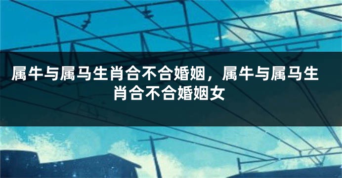 属牛与属马生肖合不合婚姻，属牛与属马生肖合不合婚姻女
