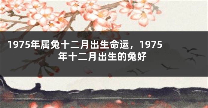 1975年属兔十二月出生命运，1975年十二月出生的兔好