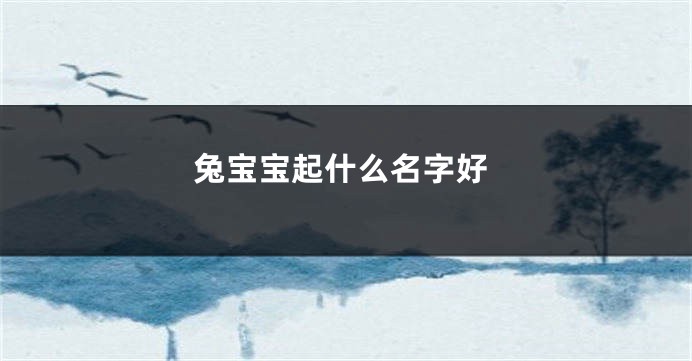 兔宝宝起什么名字好