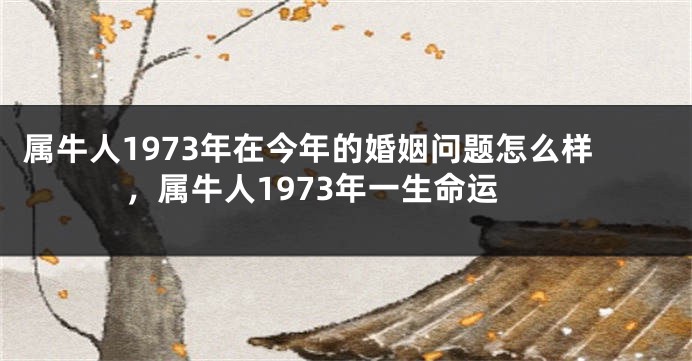 属牛人1973年在今年的婚姻问题怎么样，属牛人1973年一生命运