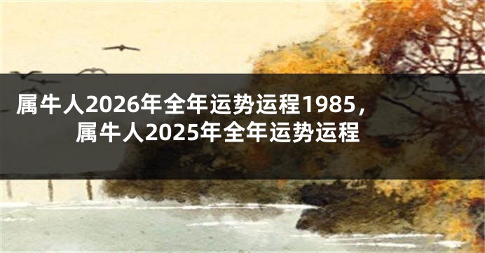 属牛人2026年全年运势运程1985，属牛人2025年全年运势运程