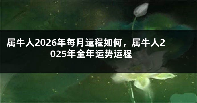 属牛人2026年每月运程如何，属牛人2025年全年运势运程