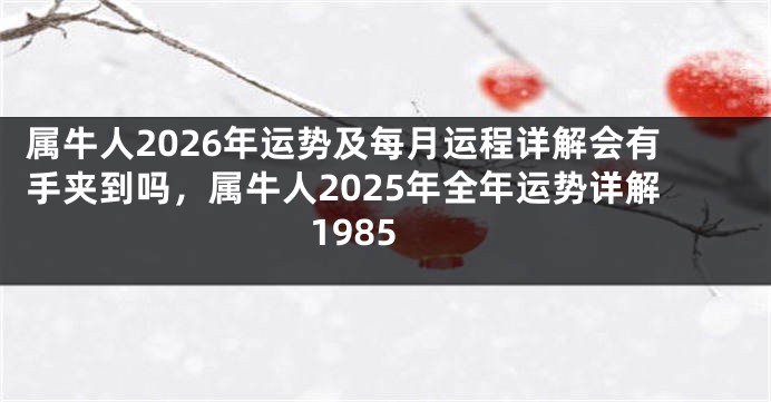 属牛人2026年运势及每月运程详解会有手夹到吗，属牛人2025年全年运势详解1985