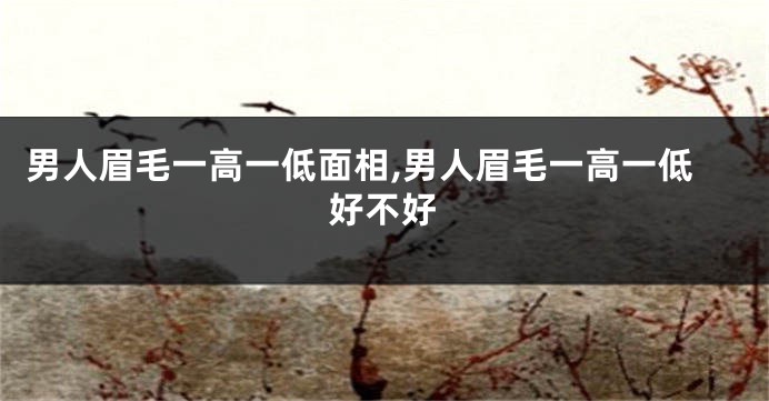 男人眉毛一高一低面相,男人眉毛一高一低好不好