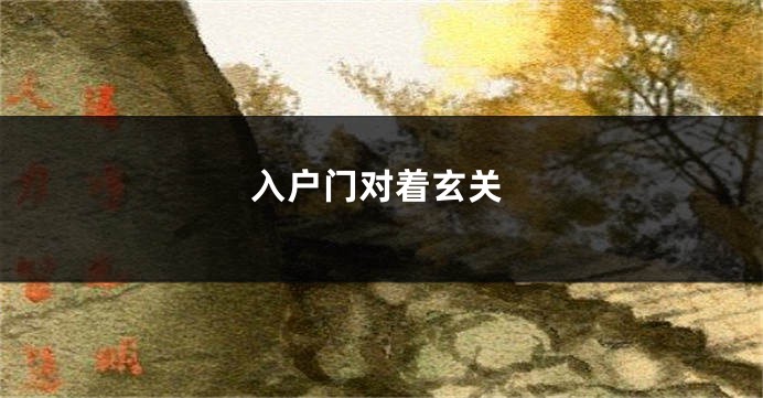 入户门对着玄关