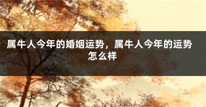 属牛人今年的婚姻运势，属牛人今年的运势怎么样