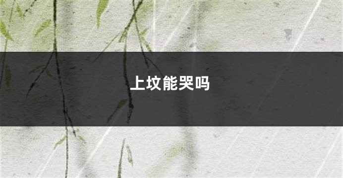 上坟能哭吗